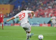 开云官方app入口-塞尔维亚队员因黄牌接受警告