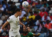 开云下载-塞尔维亚球队在全球赛事中展现实力