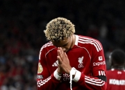 开云官方app入口-利物浦客场逆转晋级，红军精神逆袭令人敬佩的简单介绍