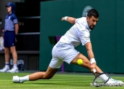 开云平台-包含日本网球队强势德国网球队，德约科维奇惊艳世界的词条