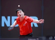 开云体育入口-波兰乒乓球队轻取瑞典乒乓球队，樊振东送出助攻的简单介绍