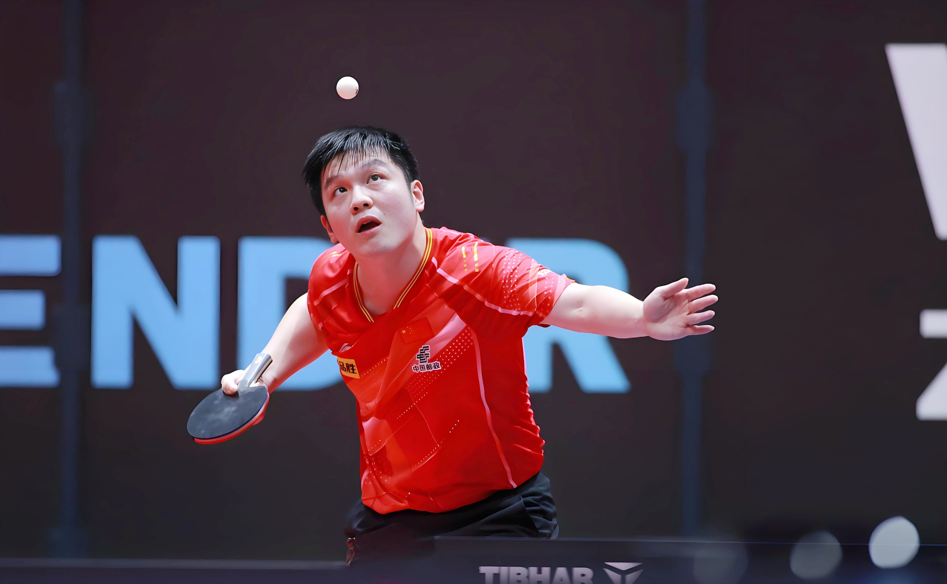 波兰乒乓球队轻取瑞典乒乓球队，樊振东送出助攻的简单介绍