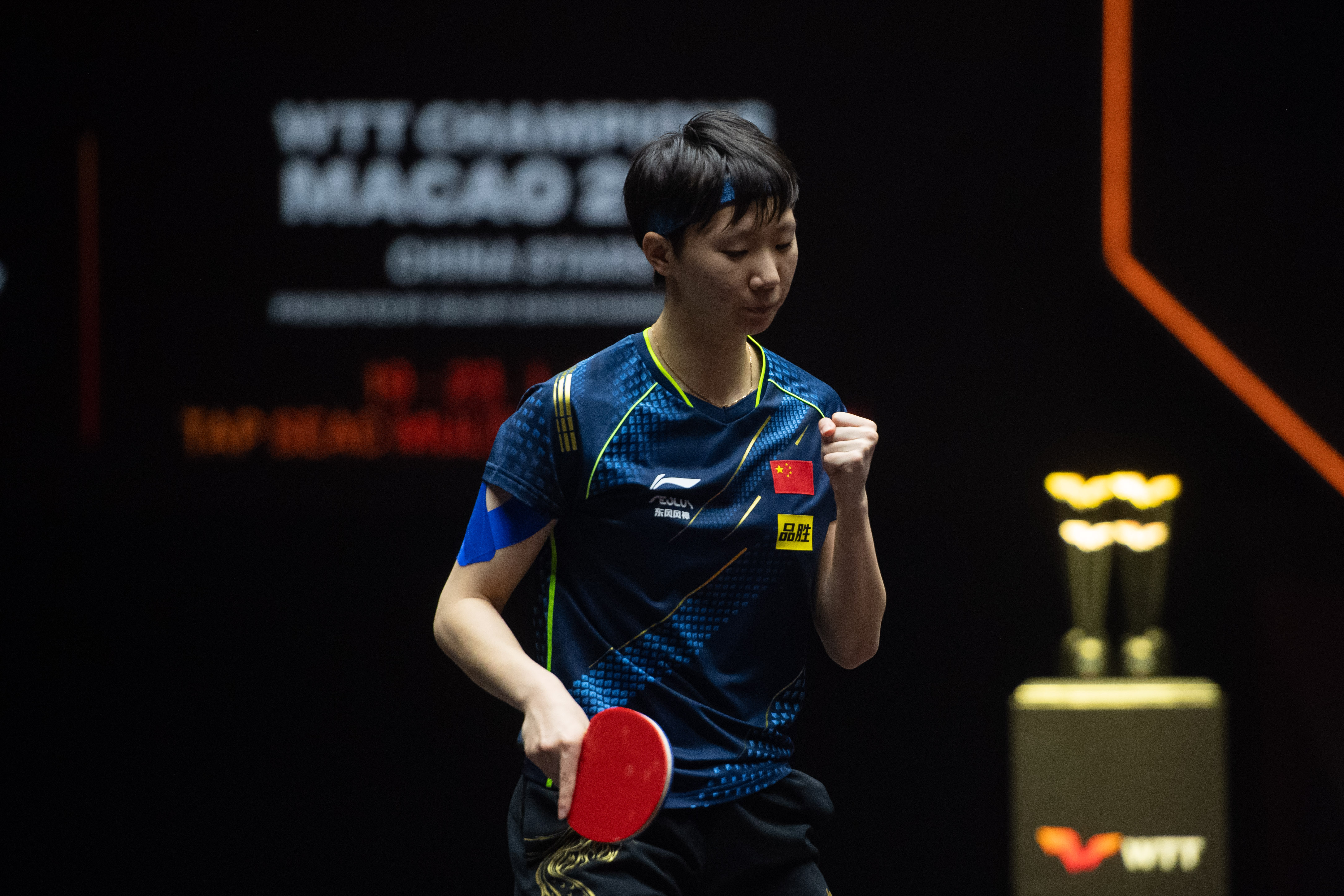 关于伊朗队战无不胜，晋级欧锦赛八强，笑傲赛场的信息