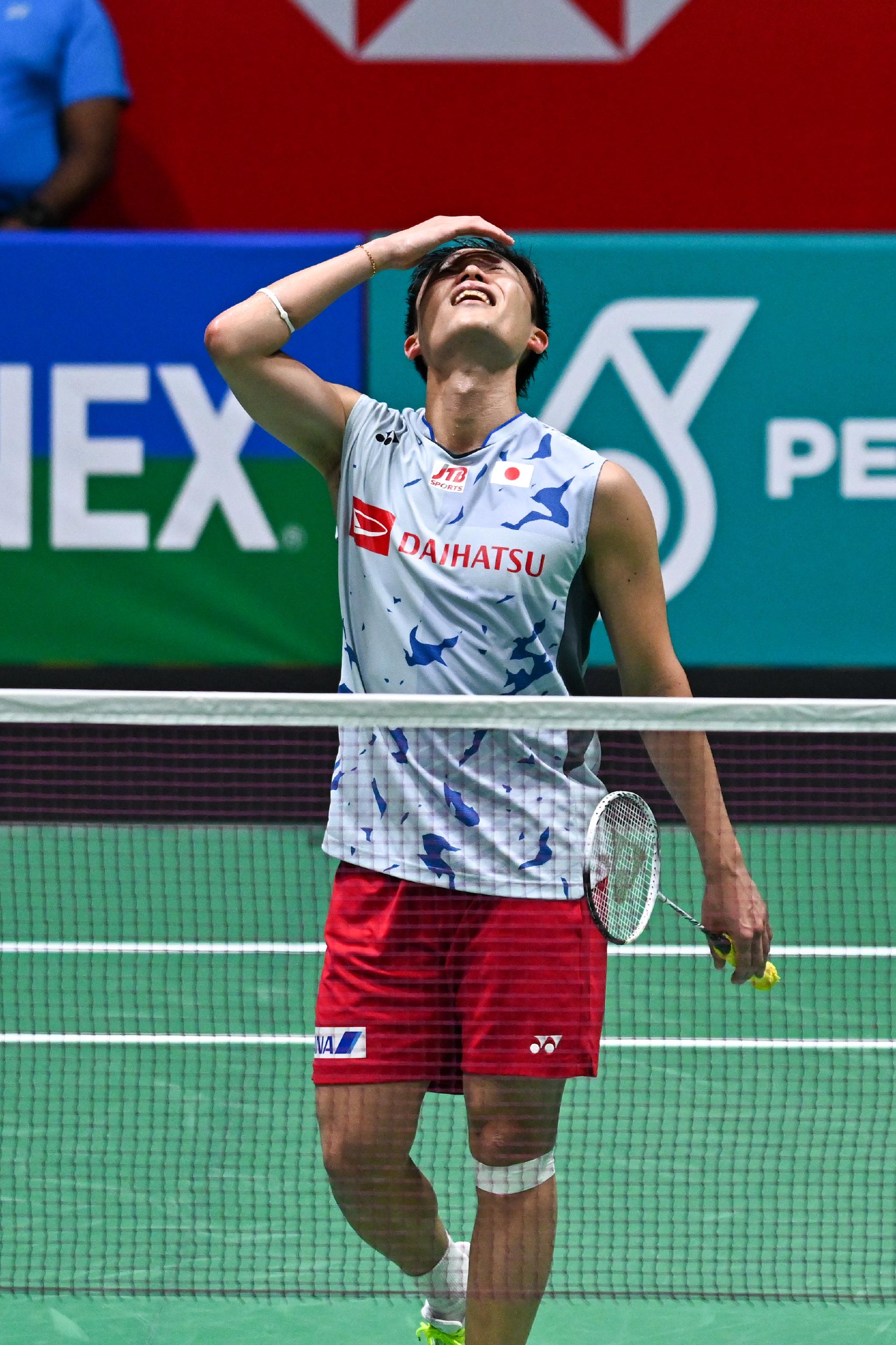 马来西亚队横扫法国队，安赛龙高光表现的简单介绍