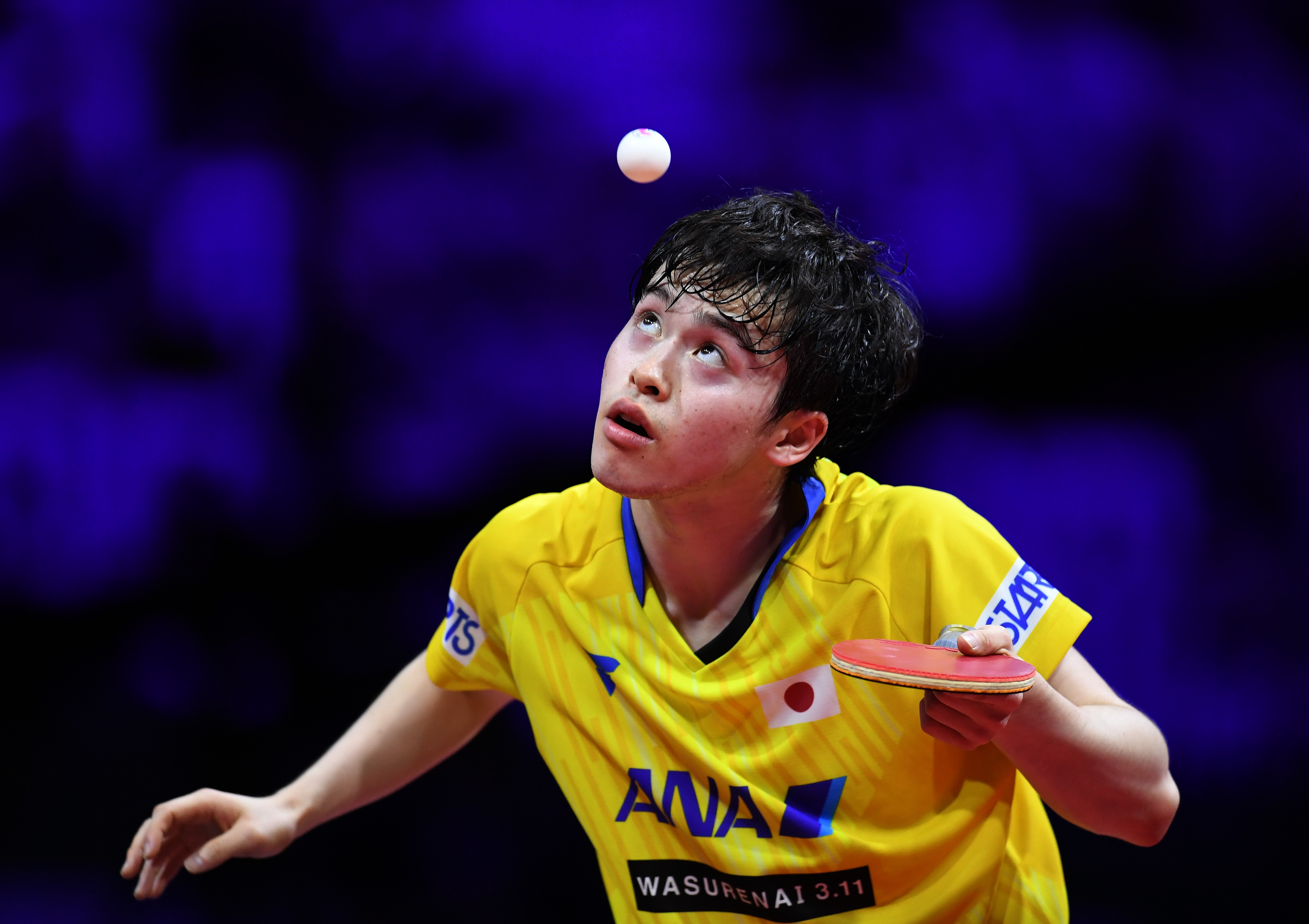 波兰乒乓球队力克奥地利乒乓球队,波尔惊艳世界的简单介绍 波兰乒乓球队力克奥地利乒乓球队,波尔惊艳世界的简单介绍