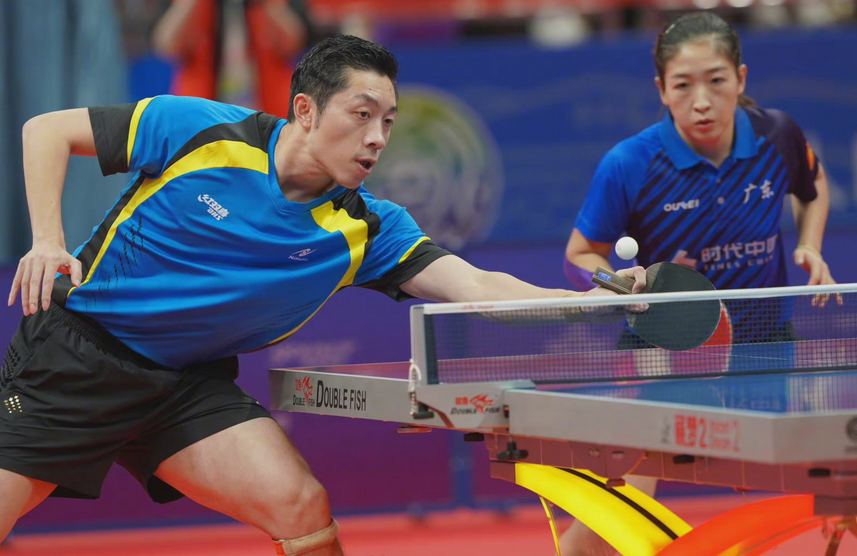 法国队绝杀韩国队，许昕状态火热的简单介绍