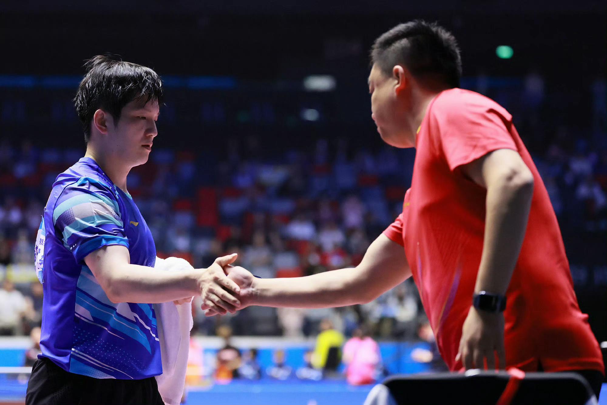 包含日本队横扫韩国队，樊振东关键制胜的词条