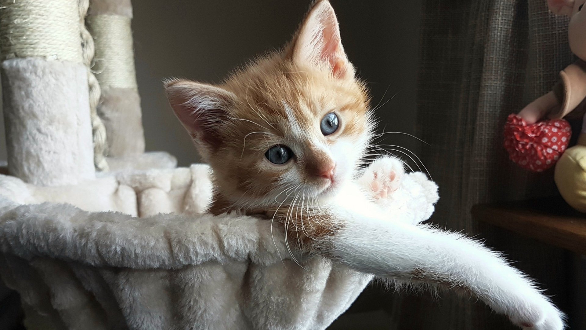 德罗赞末节封神，黄蜂主场惨遭公牛提前终结