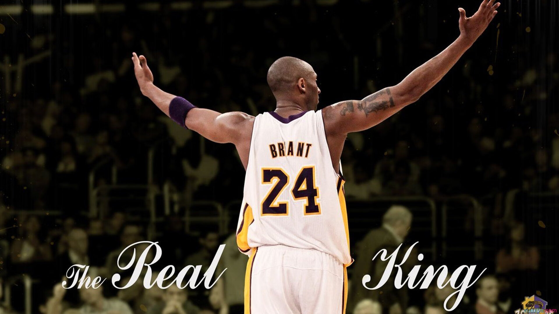 猛龙火力压制魔术，戈贝尔在世界排名争夺战接管比赛